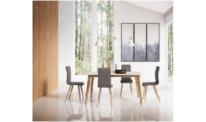 Composición comedor  mesa y 4 sillas