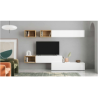 Muebles modulares de salón minimalista