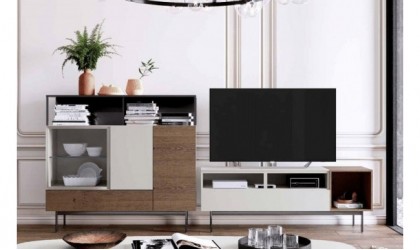 Composición mueble TV